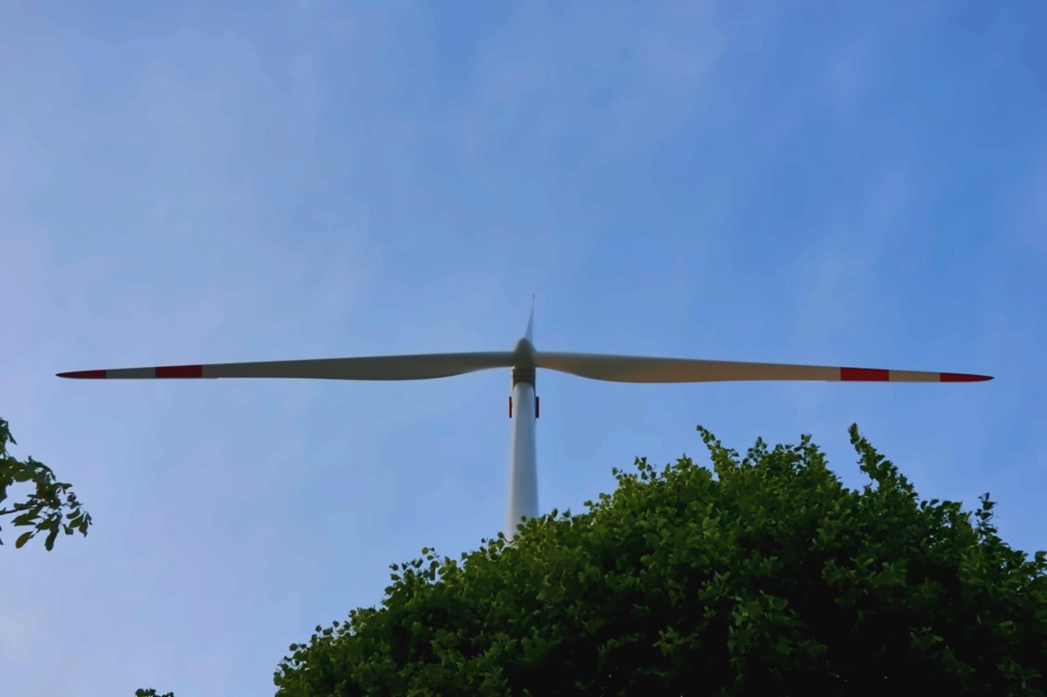 Forestry field equipment and measurement tools prepared for ecological survey