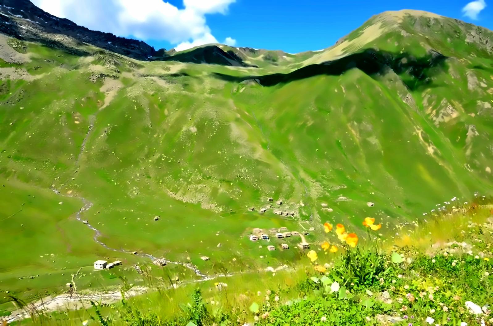 Forest ecology educational materials and learning resources